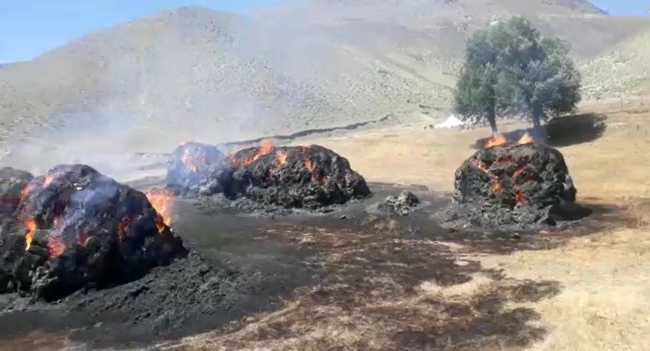 Ağrı’da çıkan yangında 110 ton ot küle döndü