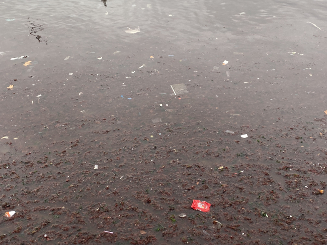 Kadıköy’ü lodos vurdu: Caddebostan sahilini plastik atıklar kapladı