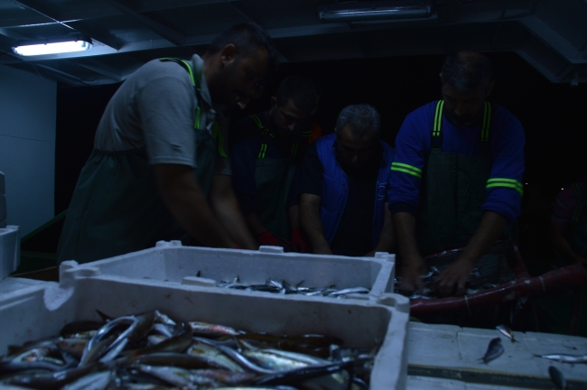 Sezonun ilk avından dönen balıkçıları, İstanbul Valisi Yerlikaya karşıladı