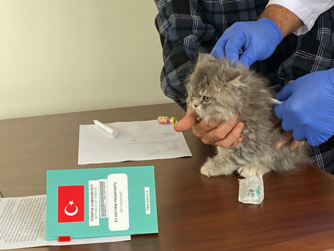 Nevşehir'de 3 bin 200 evcil hayvan çiplendi