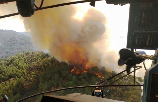 Muğla'da orman yangını