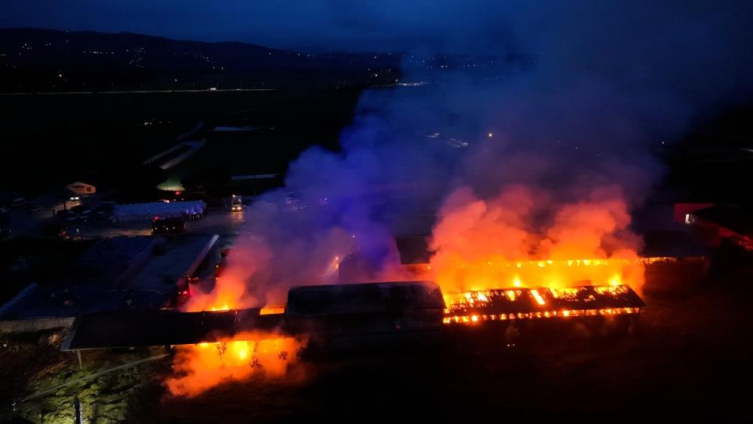 Samsun'da saman depolarında yangın