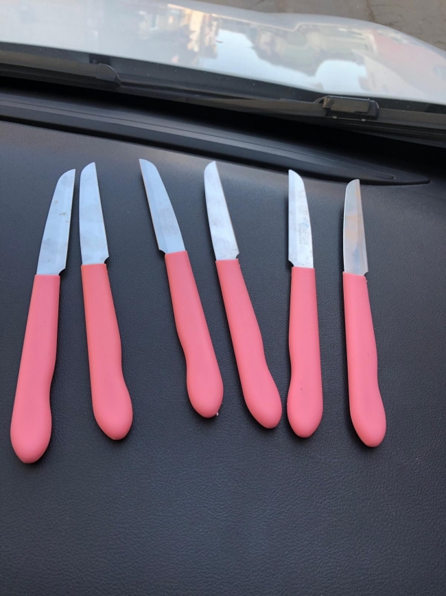 "Gasp edildim" demişti, meyve bıçağı ele verdi