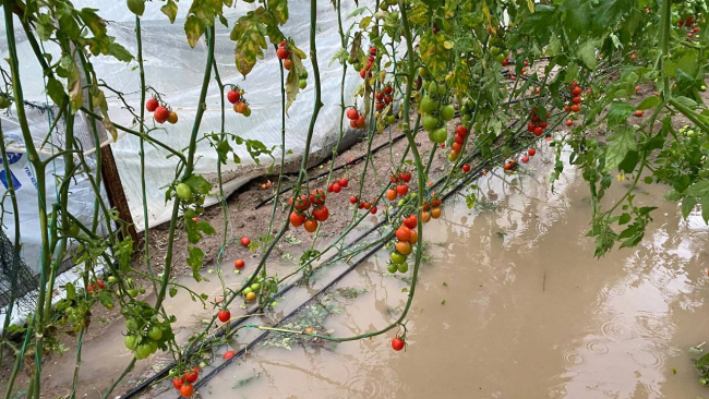 Antalya'da fırtına ve sağanak seraları vurdu