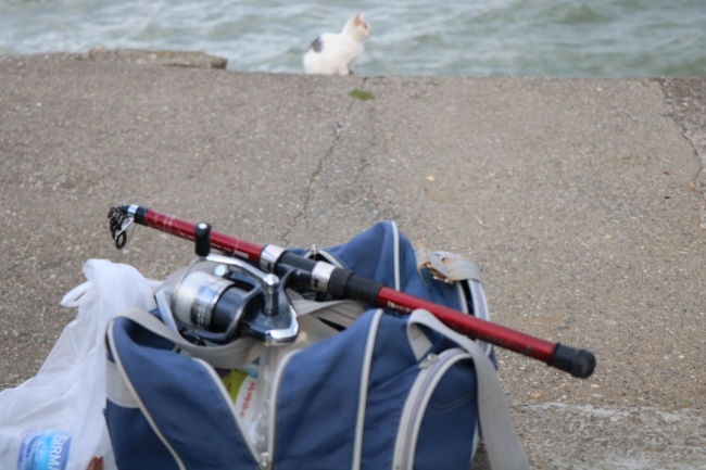 Denize düşen genci oltayla kurtardılar