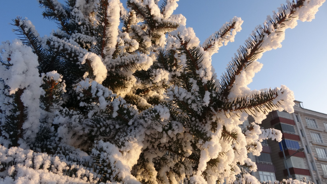 Ardahan’da Sibirya soğukları: Araçlar çalışmadı