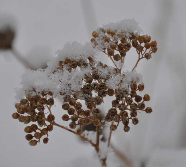 Pülümür Vadisi’nde kış güzelliği