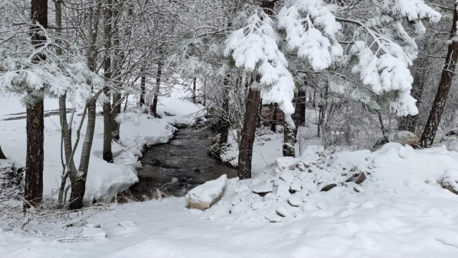 Kütahya'nın Domaniç Dağı'na mart karı