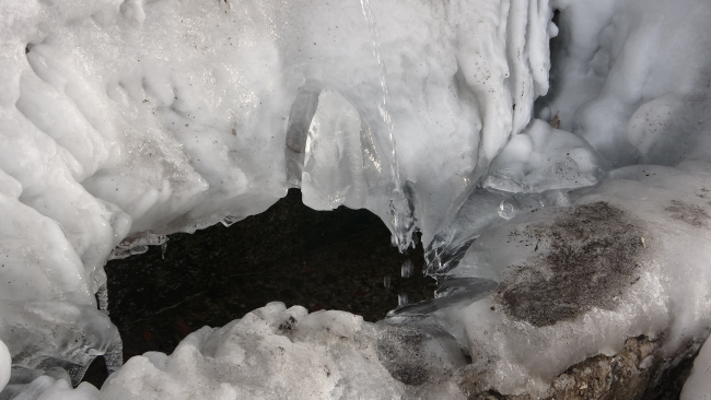 Ardahan’da soğuk hava etkili oluyor