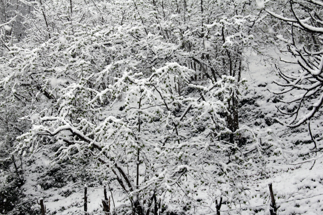 Mart karı fındık üreticisini endişelendirdi
