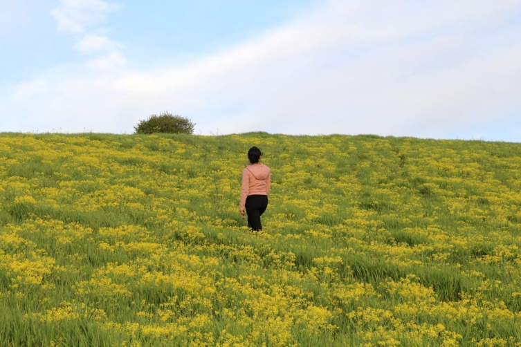 Hardal çiçekleri Tunceli’yi sarıya boyadı, ortaya eşsiz manzaralar çıktı