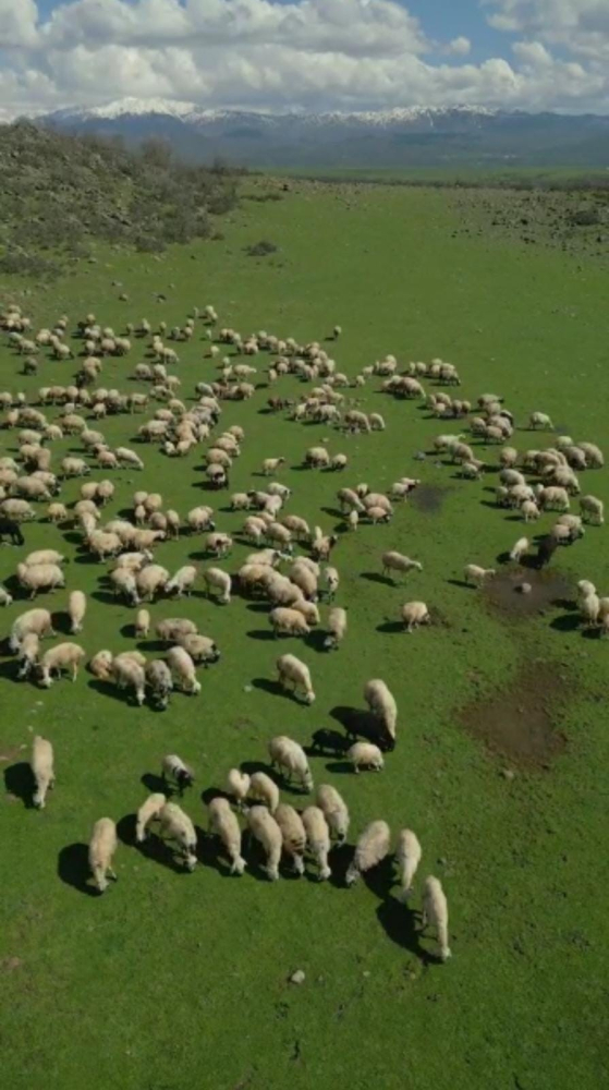 Bingöl’de bahar manzaraları