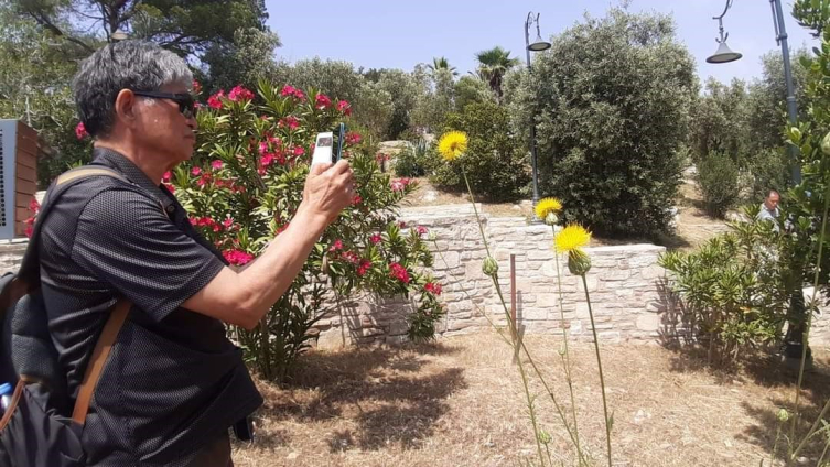 Kuşadası’nın sembolü 'Tülüşah' çiçek açtı: Koparmanın cezası 244 bin TL