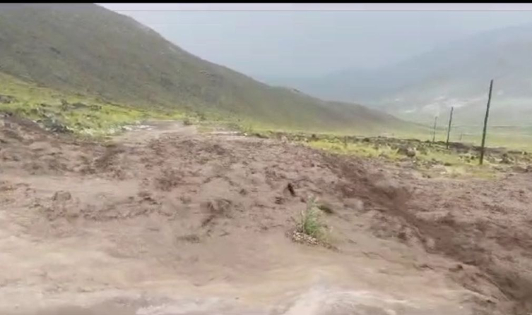 Iğdır’da meydana gelen selden hayvanlar son anda kurtuldu