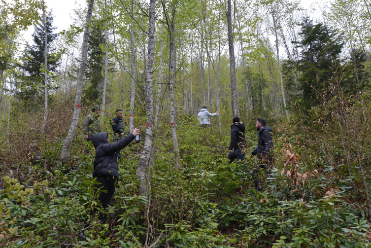 Artvin'de ormanlar öğrencilere hem dershane hem gelir kapısı oldu