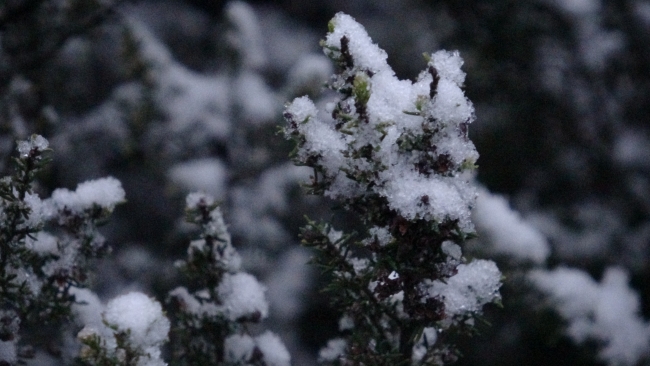 Aydos Ormanları beyaza büründü