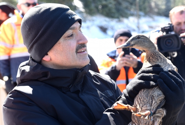 Bakan Pakdemirli, yavru ayıyı eliyle besledi