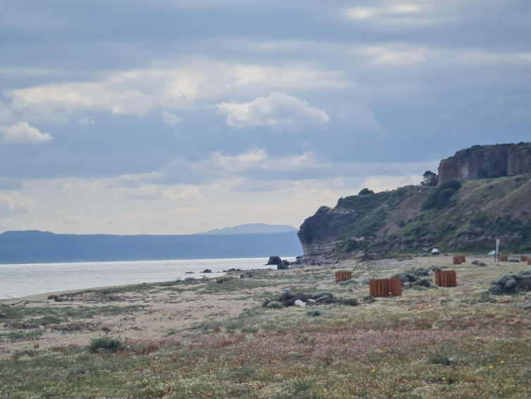 Fotoğraf: DHA