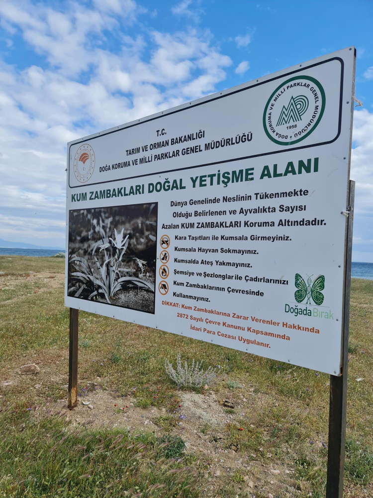 Fotoğraf: DHA