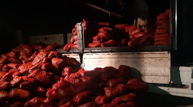 Bursa'da insansız hava aracı tespit etti: 25 ton kaçak midye ele geçirildi