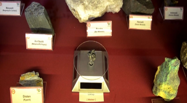 Öğretmenler koleksiyonlarıyla Doğa Müzesi kurdu