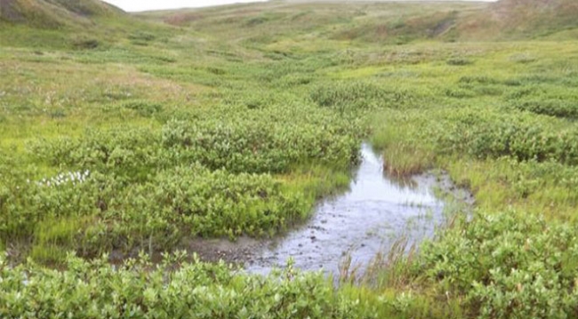 Afganistan'ın başkenti Kabil'de otele terör saldırısı