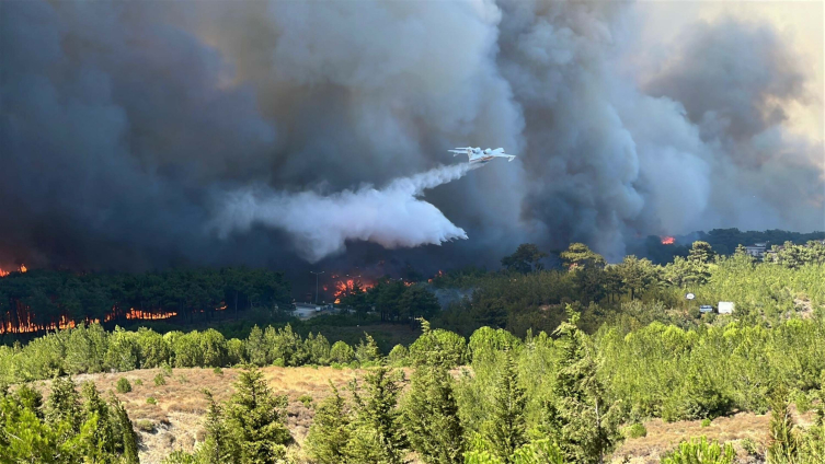 Çanakkale'de orman yangını
