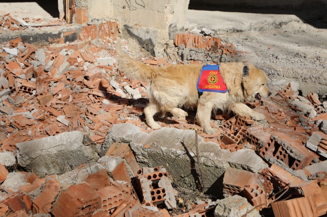 Fotoğraf: TRT Haber