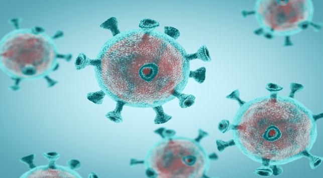 Tüberküloz aşısının COVID-19’a karşı etkisi araştırılıyor