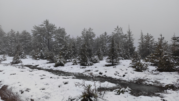 Bazı illerde kar etkili oldu