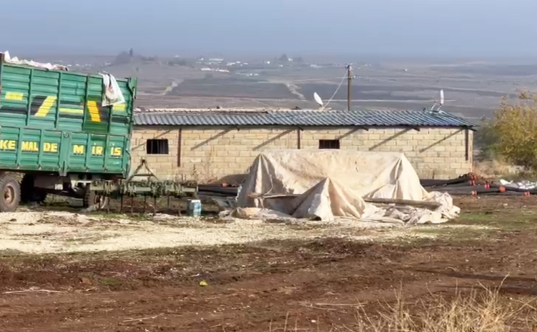 Ahır görünümlü tesiste kaçak elektrikle kripto para imal etmişler