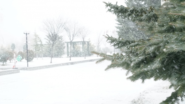 Fotoğraf: TRT Haber / Bertuğ Ulukan