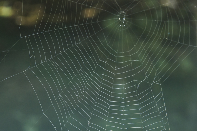 Fotoğraf: DepoPhotos