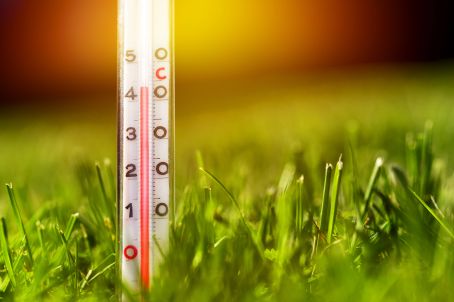 Fotoğraf: DepoPhotos