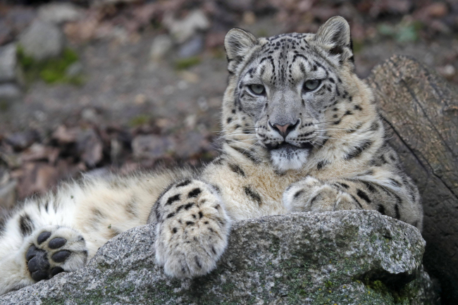 Fotoğraf: DepoPhotos