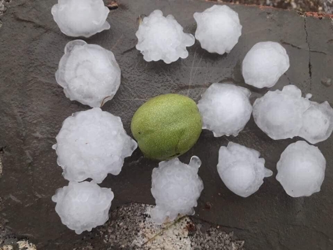 Antalya'da şiddetli yağış seralara zarar verdi