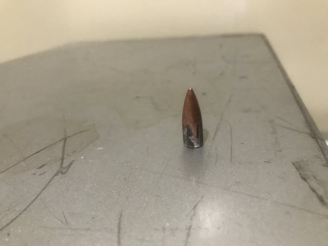 Fotoğraf: Ahmet Görmez