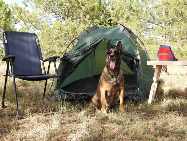 Jandarmanın "Cimri"si emekli oldu