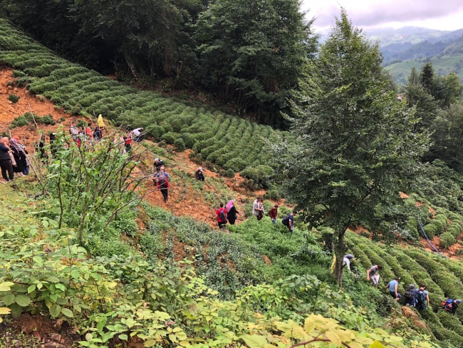 Rize'de Ağaran Şelalesi bölgesinde mahsur kalan 41 kişi tahliye edildi