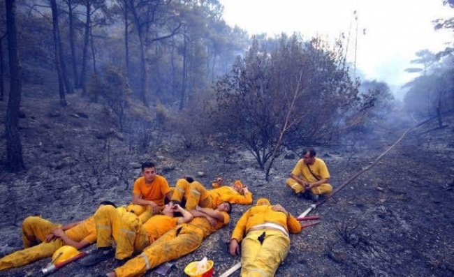 Pakdemirli'den orman yangını paylaşımı: Dün gece rahat uyudunuz mu?