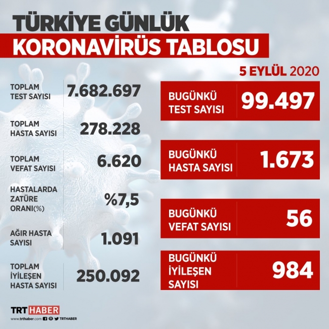 COVID-19'u yenenlerin sayısı 250 bini geçti