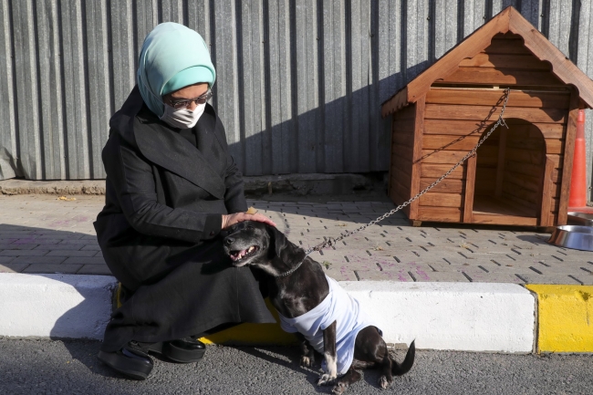 Emine Erdoğan, engelli köpek 'Leblebi'yi sahiplendi