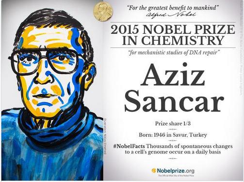 Nobel ödülü bir Türk'e verildi