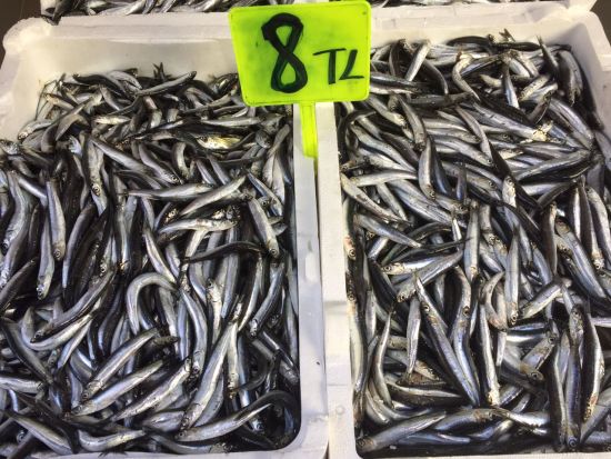 Hamsinin fiyatı düştü