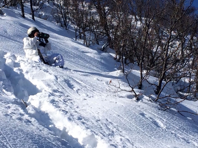 Bitlis'te terör örgütüne darbe
