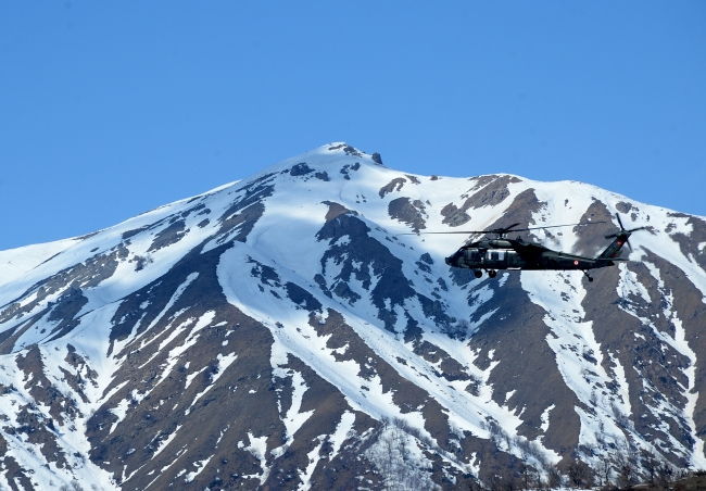 Bitlis'te terör örgütüne darbe