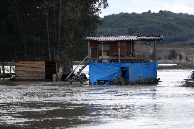 Sular altında kalan çiftlikte yüzlerce tavuk telef oldu