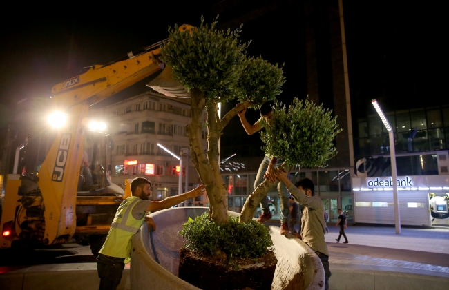 Taksim Meydanı'na yeni ağaçlar