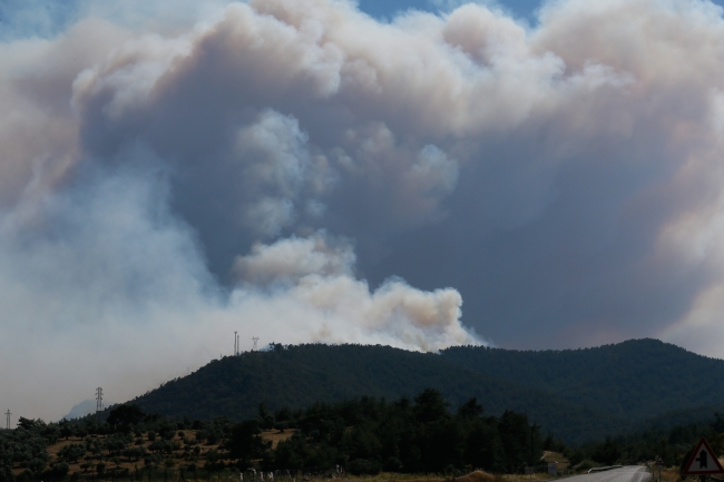 Ege ve Akdeniz'de hektarlarca yeşil alan yandı