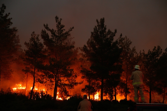 Ege ve Akdeniz'de hektarlarca yeşil alan yandı